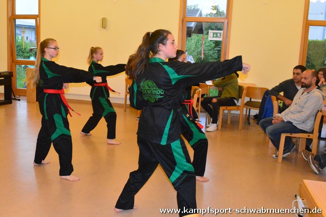 Sommerfest_Taekwondo_2016_012.jpg