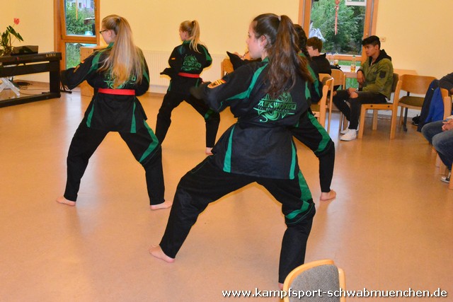 Sommerfest_Taekwondo_2016_013.jpg