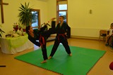 Sommerfest_Taekwondo_2016_003.jpg