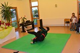 Sommerfest_Taekwondo_2016_008.jpg