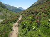 Tag_3_Alpencross_2011_34.jpg