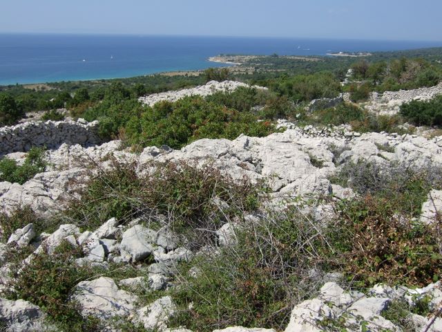 pag07_01.jpg