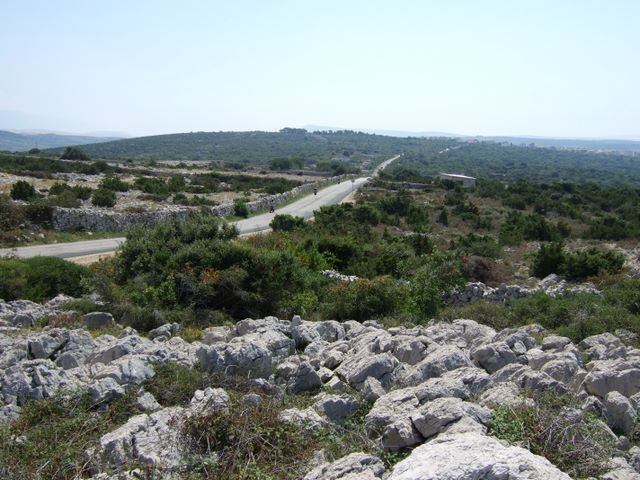 pag07_02.jpg