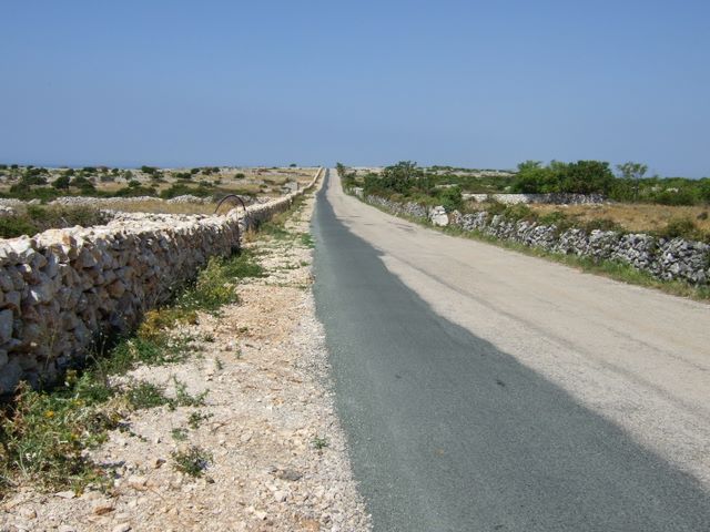 pag07_04.jpg