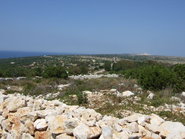 pag07_06.jpg