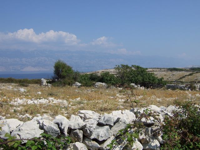 pag07_21.jpg