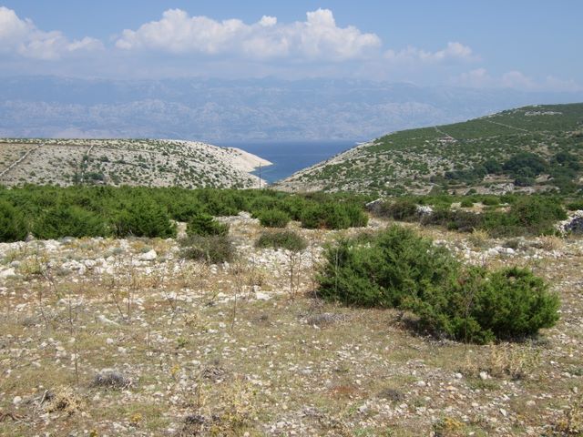 pag07_22.jpg