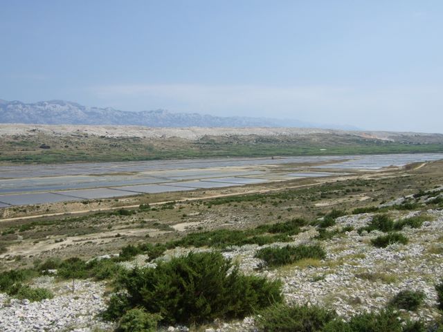 pag07_27.jpg