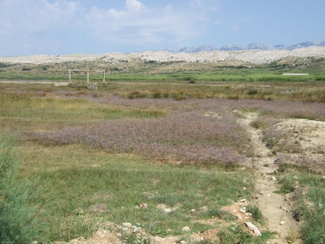 pag07_29.jpg