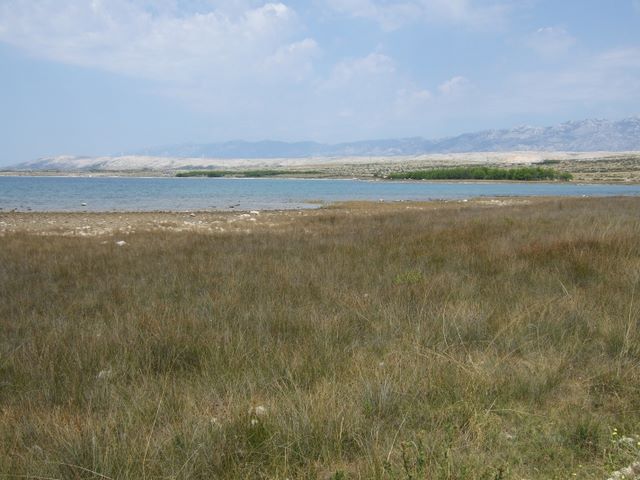 pag07_31.jpg