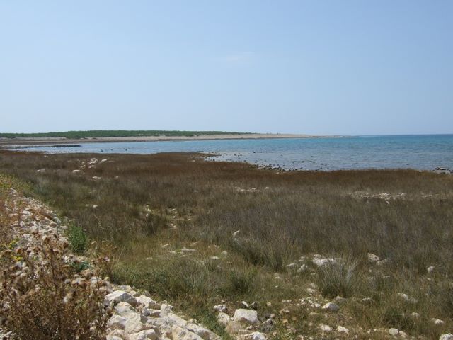 pag07_32.jpg