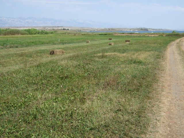 pag07_35.jpg