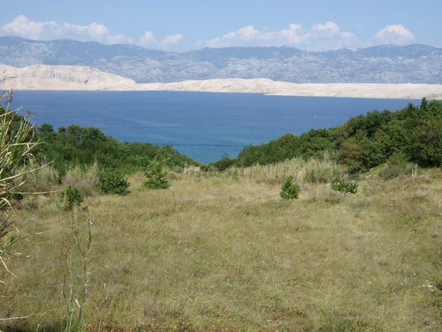 pag07_38.jpg