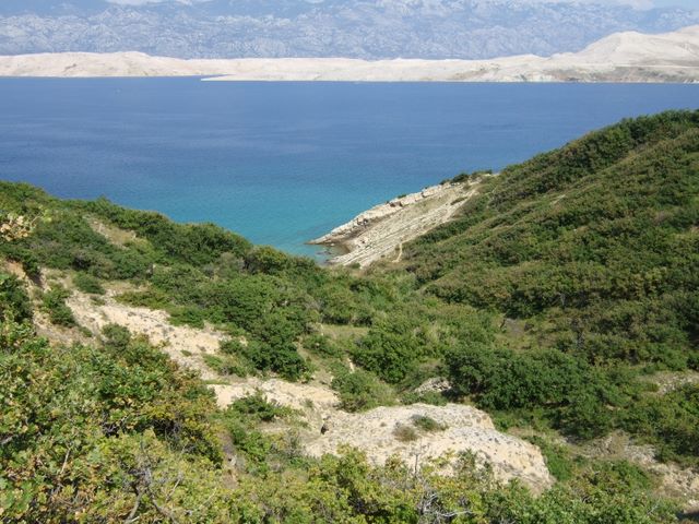 pag07_39.jpg