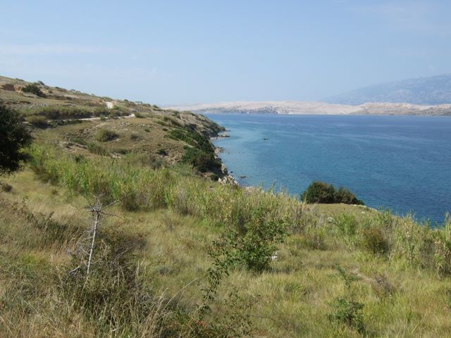 pag07_42.jpg