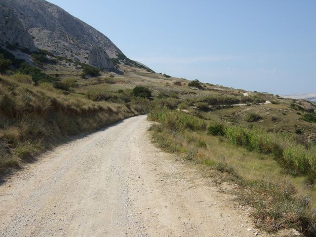 pag07_44.jpg