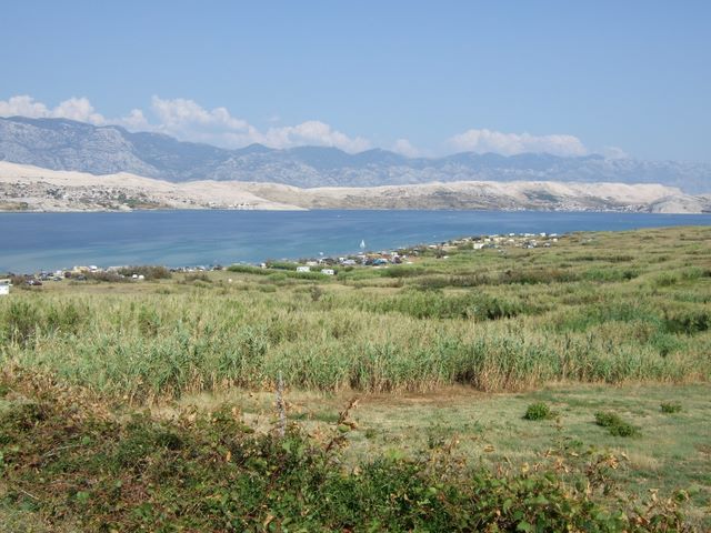 pag07_50.jpg