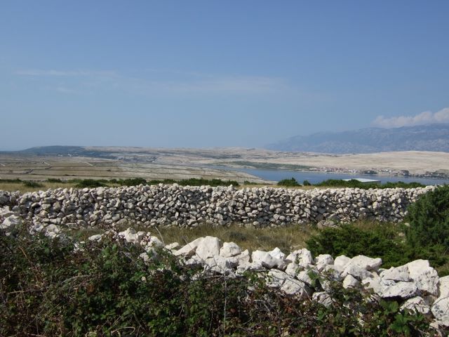 pag07_54.jpg