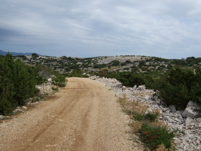 pag07_74.jpg