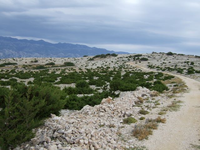 pag07_76.jpg