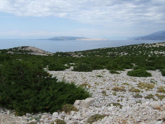 pag07_77.jpg