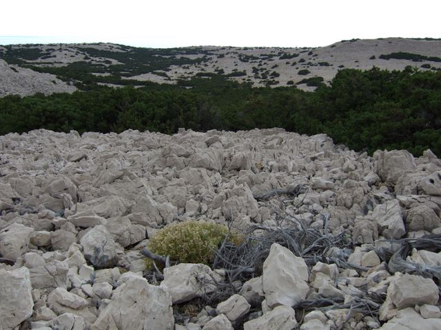 pag07_79.jpg