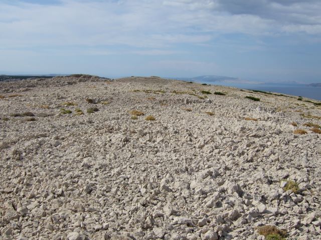 pag07_84.jpg