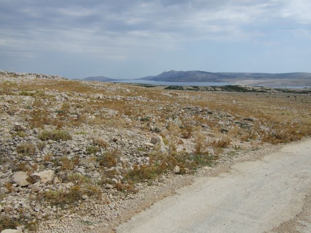 pag07_85.jpg