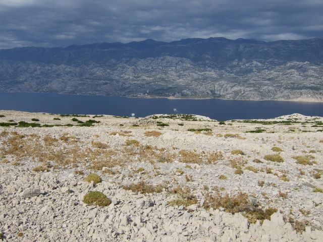 pag07_87.jpg
