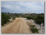 pag07_74.jpg