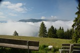 Graahof_2019_017.jpg