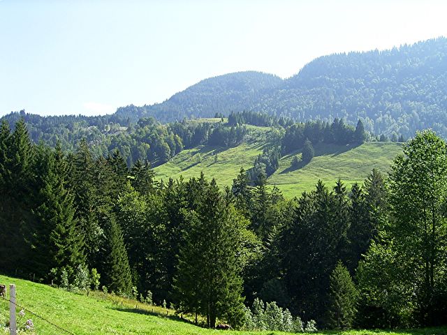 thalkirchdorf_2004_04.jpg