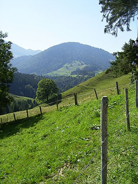 thalkirchdorf_2004_05.jpg