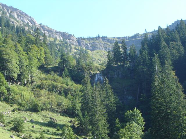 thalkirchdorf2006_32.jpg