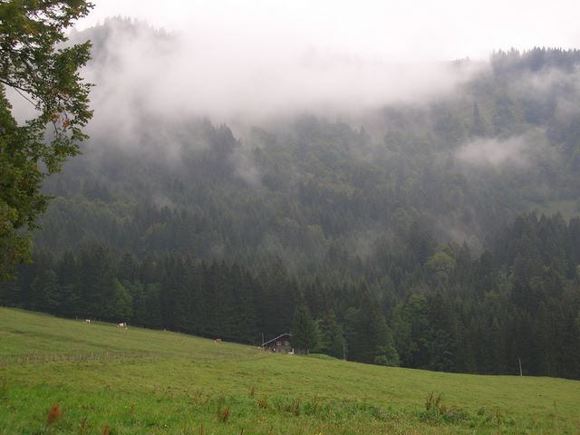 thalkirchdorf07_000.jpg