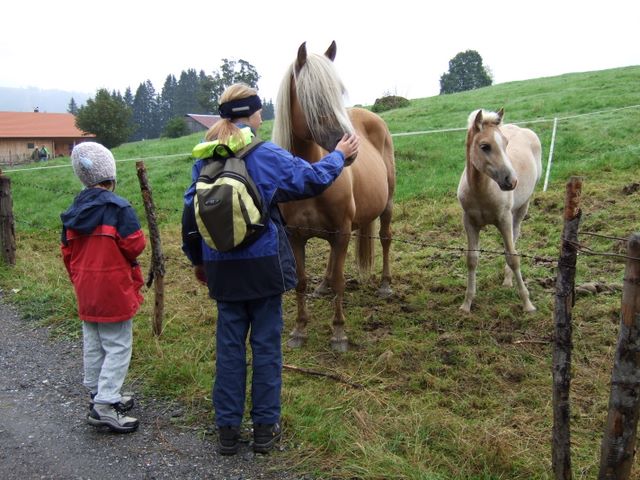 thalkirchdorf07_007.jpg