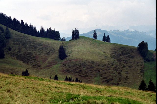 thalkirchdorf07_025.jpg