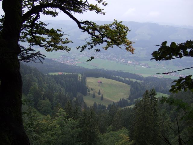 thalkirchdorf07_042.jpg