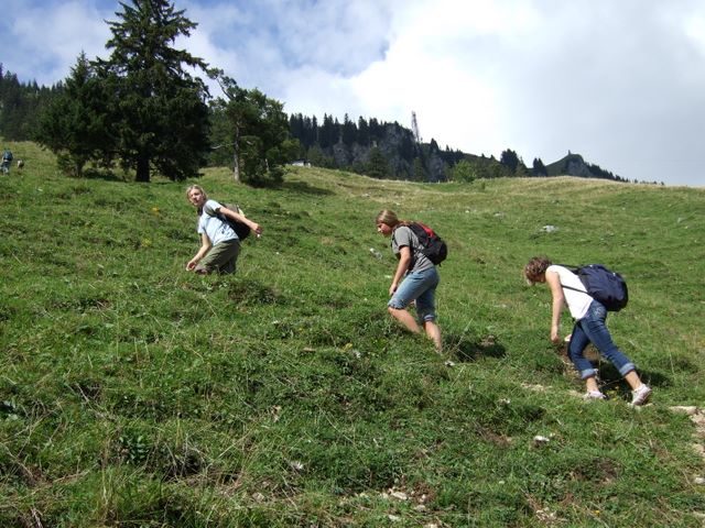 thalkirchdorf07_083.jpg