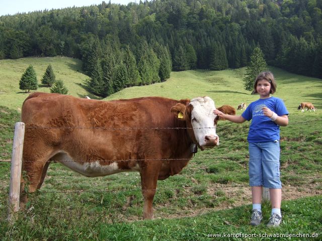 Thalkirchdorf_2008_04.jpg