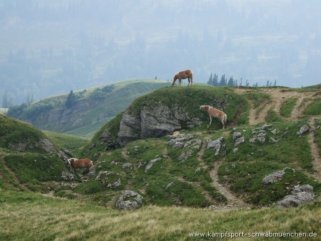 Thalkirchdorf_2009_034.jpg