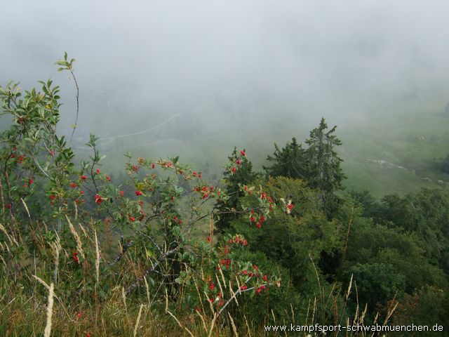 Thalkirchdorf_2009_044.jpg