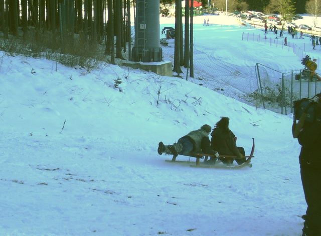 hornschlittenrennen_2007_02.jpg