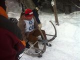 Schalengge_2013_022.jpg