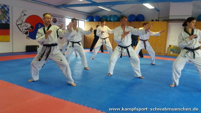 Fachuebungsleiter_Allkampf_Jitsu_2016_01.jpg