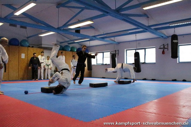 Fachuebungsleiter_Allkampf_Jitsu_2016_08.jpg