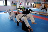 Fachuebungsleiter_Allkampf_Jitsu_2016_06.jpg