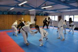 Fachuebungsleiter_Allkampf_Jitsu_2016_16.jpg