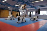 Fachuebungsleiter_Allkampf_Jitsu_2016_19.jpg