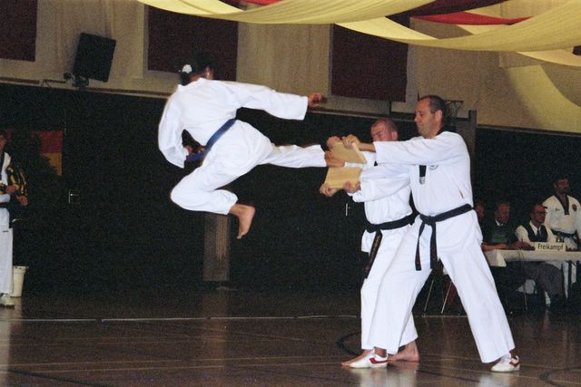 bm_taekwondo_lauingen_11_05.jpg